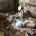 Upił psa, a później bestialsko zabił. Mężczyzna usłyszał zarzuty - Radio Kielce