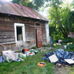 Upił psa, a później bestialsko zabił. Mężczyzna usłyszał zarzuty - Radio Kielce