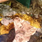 Upił psa, a później bestialsko zabił. Mężczyzna usłyszał zarzuty - Radio Kielce