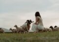 RYM SIĘ NIESIE PO POLU PO LESIE. „Da, óna gnała wołki!” [POSŁUCHAJ] - Radio Kielce