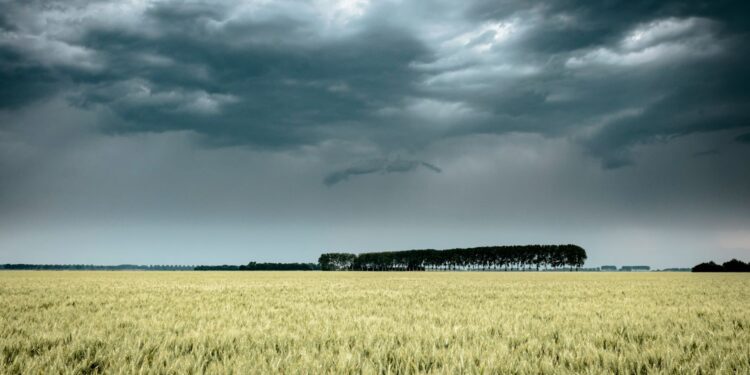 Fot. Canva