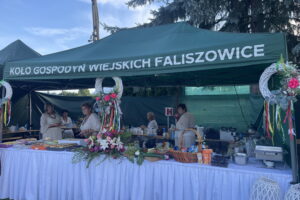 Festiwal Kół Gospodyń Wiejskich w Samborcu - Radio Kielce