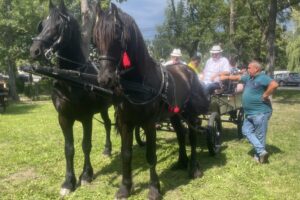 20.07.2025. Krzyżanowice. III parada karet i zaprzęgów konnych / Fot. Anna Głąb - Radio Kielce