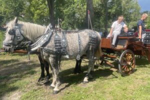 20.07.2025. Krzyżanowice. III parada karet i zaprzęgów konnych / Fot. Anna Głąb - Radio Kielce