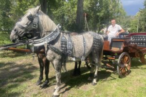 20.07.2025. Krzyżanowice. III parada karet i zaprzęgów konnych / Fot. Anna Głąb - Radio Kielce