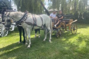 20.07.2025. Krzyżanowice. III parada karet i zaprzęgów konnych / Fot. Anna Głąb - Radio Kielce