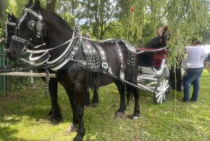20.07.2025. Krzyżanowice. III parada karet i zaprzęgów konnych / Fot. Anna Głąb - Radio Kielce