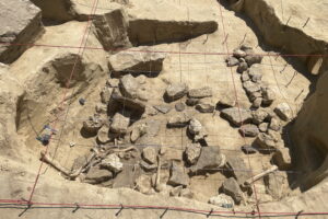 Wyjątkowe odkrycie archeologiczne pochówków sprzed tysięcy lat - Radio Kielce