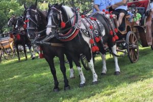 20.07.2025. Krzyżanowice. III parada karet i zaprzęgów konnych / Fot. Anna Głąb - Radio Kielce