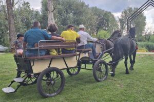 20.07.2025. Krzyżanowice. III parada karet i zaprzęgów konnych / Fot. Anna Głąb - Radio Kielce