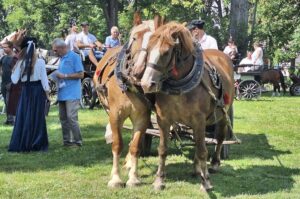 20.07.2025. Krzyżanowice. III parada karet i zaprzęgów konnych / Fot. Anna Głąb - Radio Kielce