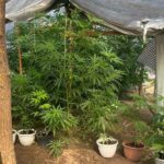 Fot. Świętokrzyska Policja