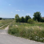 Śmierć podczas urodzinowej imprezy - Radio Kielce