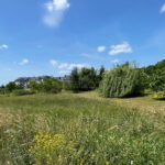 Śmierć podczas urodzinowej imprezy - Radio Kielce