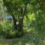 Śmierć podczas urodzinowej imprezy - Radio Kielce