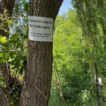 Śmierć podczas urodzinowej imprezy - Radio Kielce