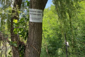 Śmierć podczas urodzinowej imprezy - Radio Kielce
