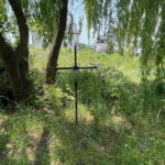 Śmierć podczas urodzinowej imprezy - Radio Kielce