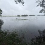 28.07.2025. Węgleszyn. Skutki ulew / Fot. Jowita Plech - Radio Kielce
