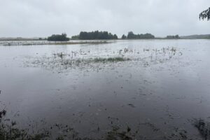 28.07.2025. Węgleszyn. Skutki ulew / Fot. Jowita Plech - Radio Kielce