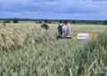 Bezpieczna i efektywna produkcja roślinna. Od czego zależy? - Radio Kielce
