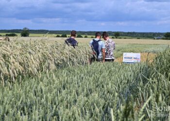 Bezpieczna i efektywna produkcja roślinna. Od czego zależy? - Radio Kielce