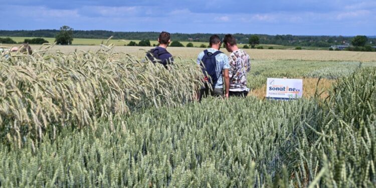 Bezpieczna i efektywna produkcja roślinna. Od czego zależy? - Radio Kielce
