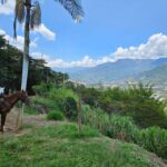 Kolumbia / Fot. Dawid Kosmal