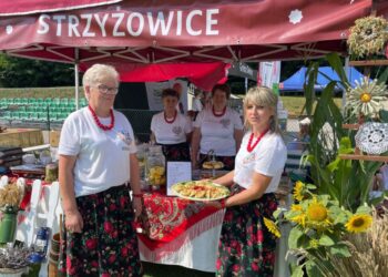W Strzyżowicach hodują gęsi od pokoleń - Radio Kielce