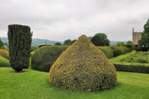 Muzyczne podróże przez świat. Anglia. Zamek Sudeley ogrody / Fot. Danuta Rasała