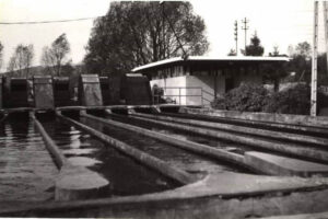 Kielce. Pakosz. Lata 1962-1974. Oczyszczalnia kanałów na Pakoszu / źródło: fotopolska.eu