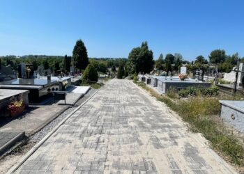 12.08.2025. Sandomierz. Cmentarz komunalny / Fot. Grażyna Szlęzak - Radio Kielce