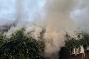 08.08.2025. Bałtów. Pożar w JuraParku / źródło: PSP Ostrowiec Świętokrzyski