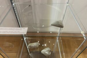 08.08.2025. Sandomierz. Muzeum Zamkowe w Sandomierzu. Wystawa biżuterii / Fot. Grażyna Szlęzak - Radio Kielce