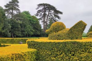 Muzyczne podróże przez świat. Anglia. Ogrody Pałacu Blenheim / Fot. Danuta Rasała
