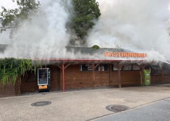Pożar w bałtowskim JuraParku