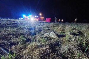 14.08.2025. Łagów. Wypadek / Fot. OSP Łagów