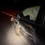 28.08.2025. Piaseczno. Wypadek / źródło: policja