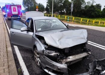 01.08.2025. Orzelec Mały. Wypadek / Fot. Policja