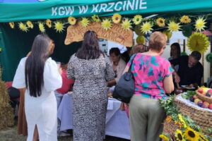 Bitwa Regionów w Sandomierzu - Radio Kielce