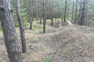 Na tropie szczątków „Pierwszego Marszałka” - Radio Kielce