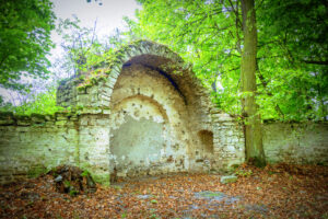 Wiśniowa. Park oraz Pałac Kołłątajów w Wiśniowej / Fot. staszow.pl