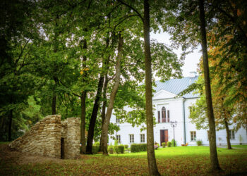 Wiśniowa. Park oraz Pałac Kołłątajów w Wiśniowej / Fot. staszow.pl