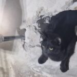 Fot. Straż Pożarna