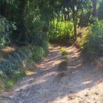 Zawichost. Drogi w wąwozach, które będą przebudowywane / Fot. Grażyna Szlęzak - Radio Kielce