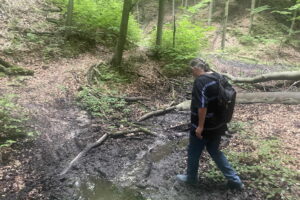 Lasy zgórskie, grodzisko. Na zdjęciu Dariusz Kalina./ Fot. Dionizy Krawczyński - Radio Kielce