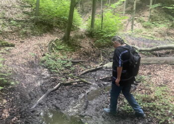 Lasy zgórskie, grodzisko. Na zdjęciu Dariusz Kalina./ Fot. Dionizy Krawczyński - Radio Kielce