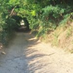 Zawichost. Drogi w wąwozach, które będą przebudowywane / Fot. Grażyna Szlęzak - Radio Kielce