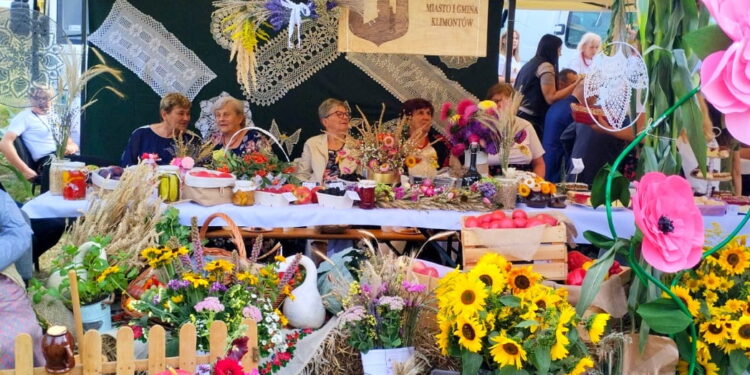 Bitwa Regionów w Sandomierzu