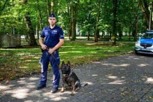 Policyjny owczarek Wadim / źródło: KPP w Kazimierzy Wielkiej